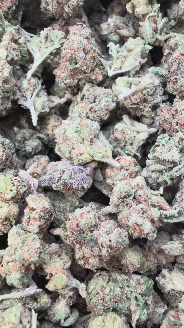 LA Runtz Minis - Bulk Minis- Hybrid – Smoke Kind