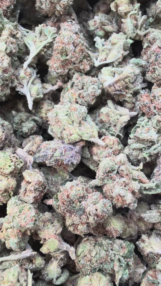 LA Runtz Minis - Bulk Minis- Hybrid