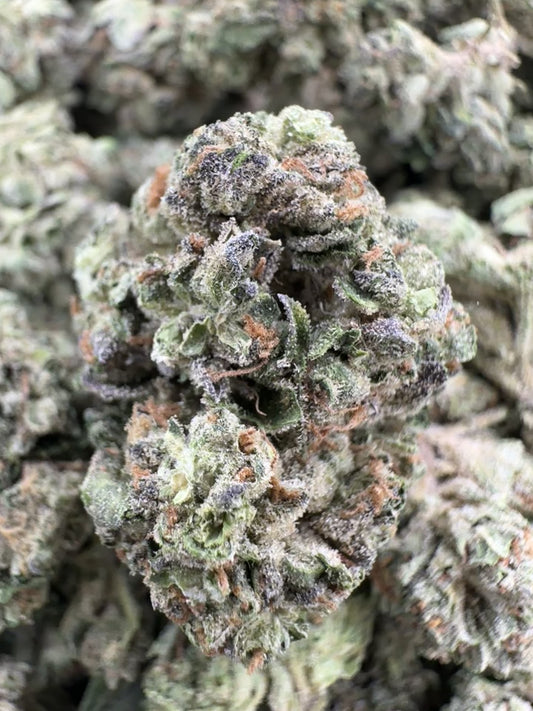 Grape Gas - Bulk - Hybrid