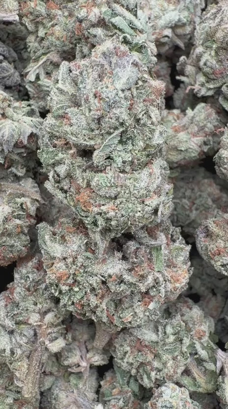 Godfather OG - Bulk - Indica
