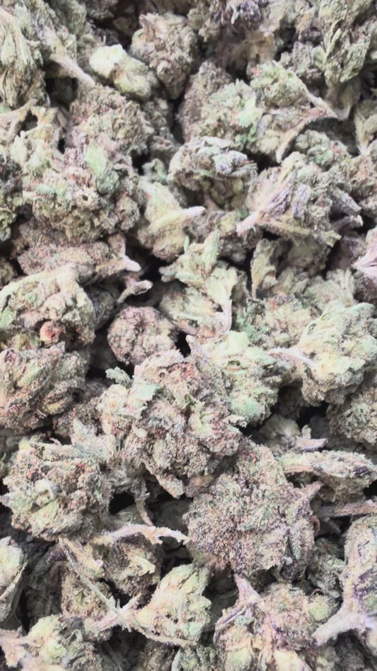 Biscotti Cake Minis - Bulk Minis - Hybrid