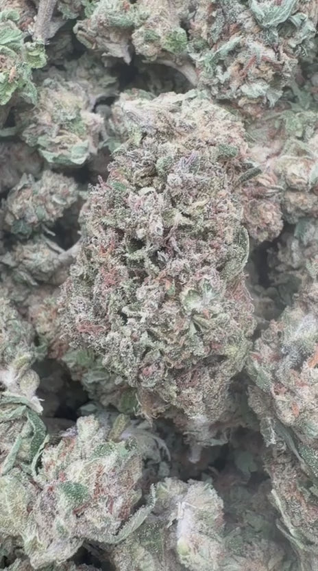 Slurricane - Bulk - Indica