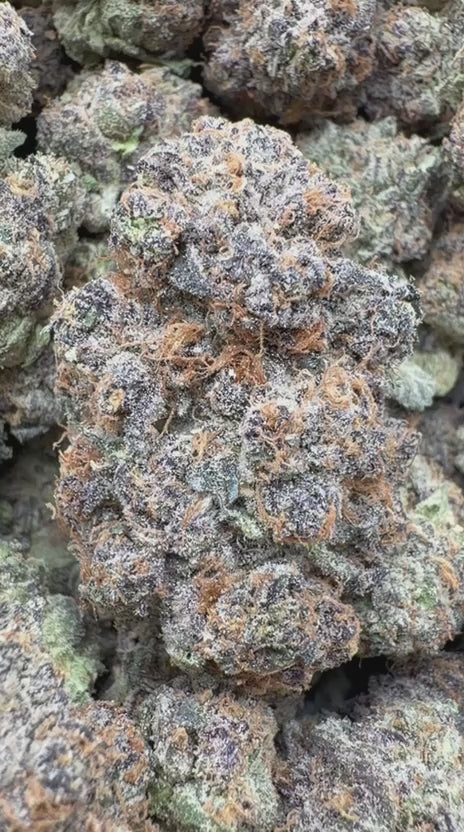 Berry Zkittles Indoor - Bulk - Indica