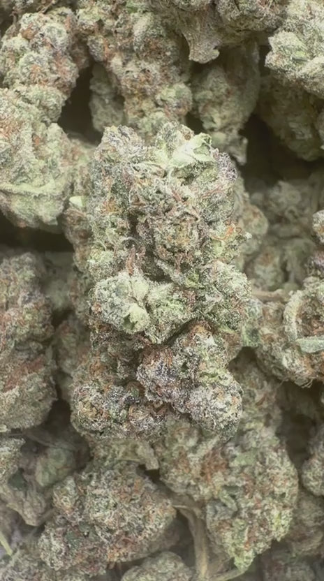 Gary Payton Indoor - Bulk - Hybrid