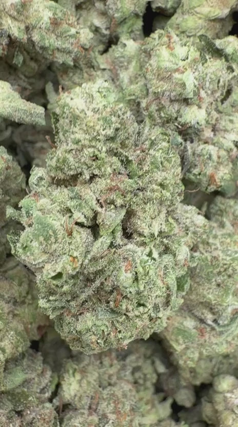 White Biscotti - Bulk - Indica
