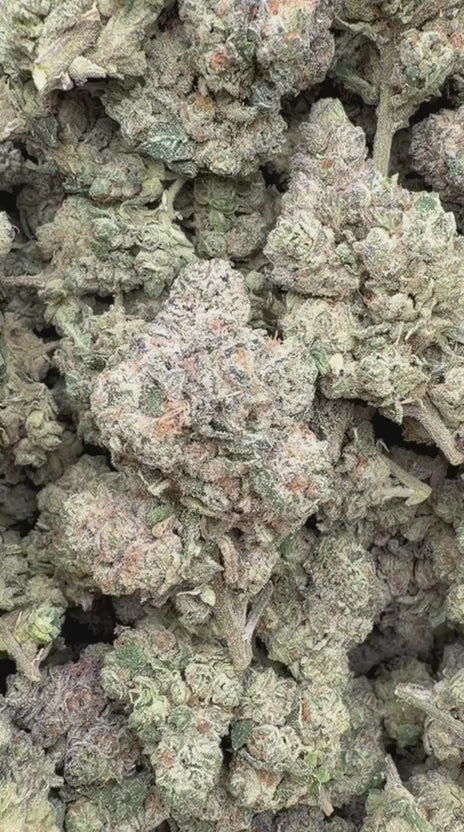 Runtz x Grease Monkey - Bulk - Indica