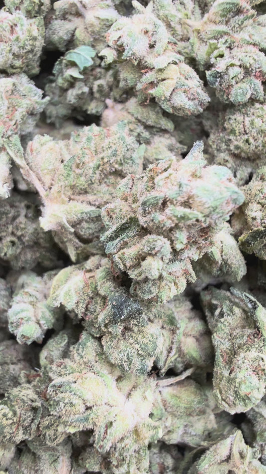 Elmers Glue Minis - Bulk Minis - Hybrid