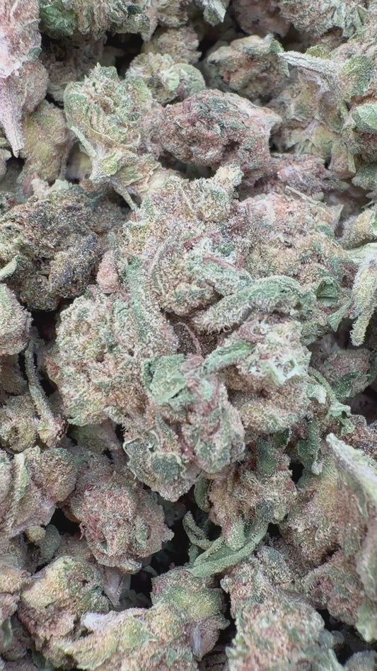 Sour OG Minis - Bulk Minis - Hybrid