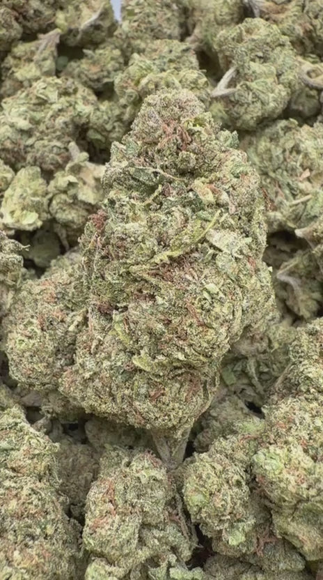 Blueberry Zkittlez - Bulk - Indica