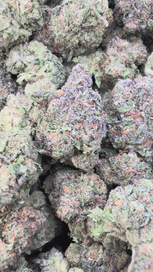 Pinnacle Mintz - Bulk - Indica