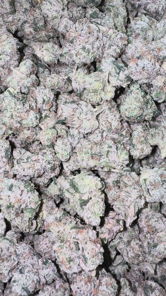 Boutique Exotics Obama Runtz - Bulk - Hybrid