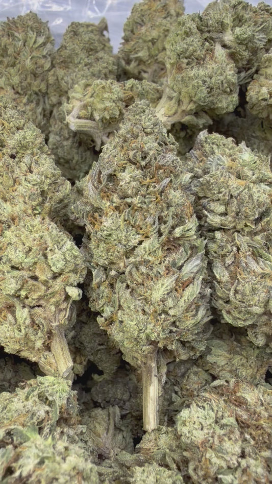 Slapz - Bulk - Hybrid