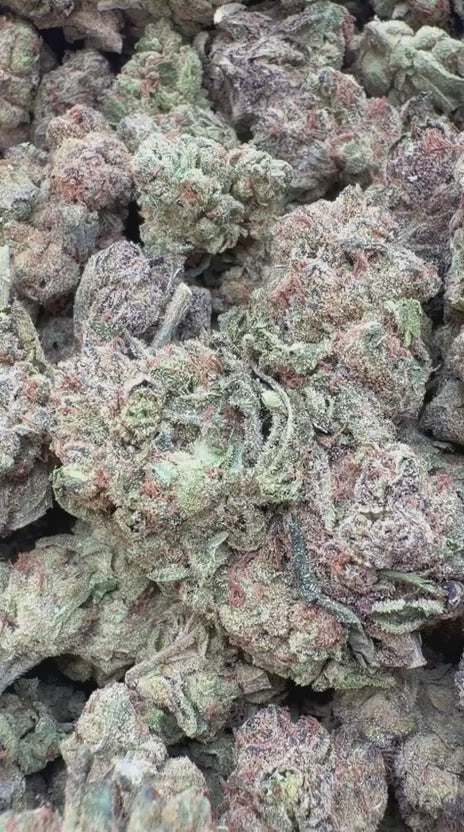 Blue Runtz - Bulk - Hybrid