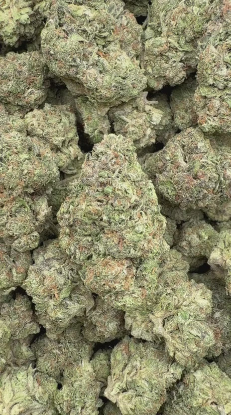 Space Runtz - Bulk - Hybrid