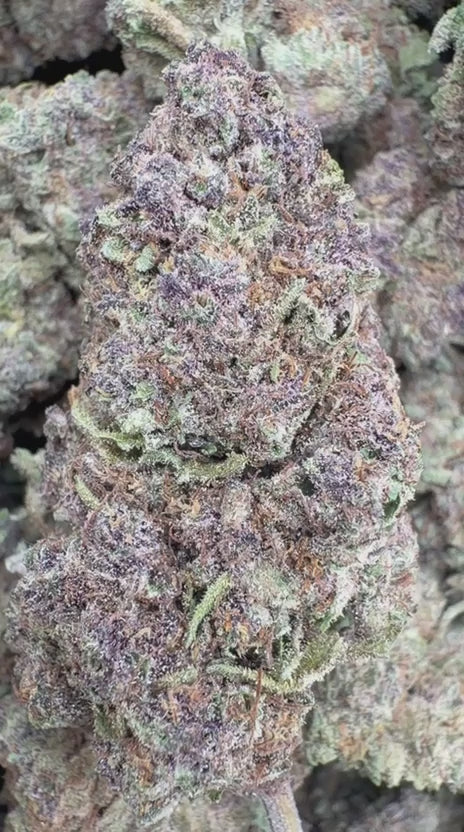 Trop Cherry - Bulk - Sativa