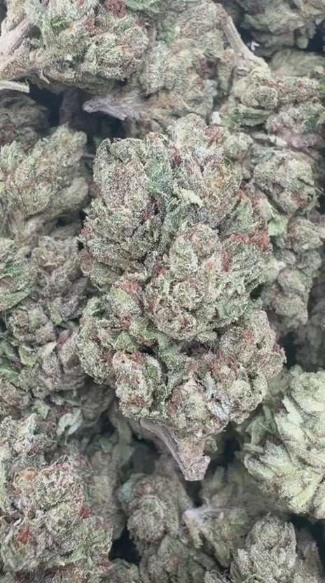 Fire OG - Bulk - Indica