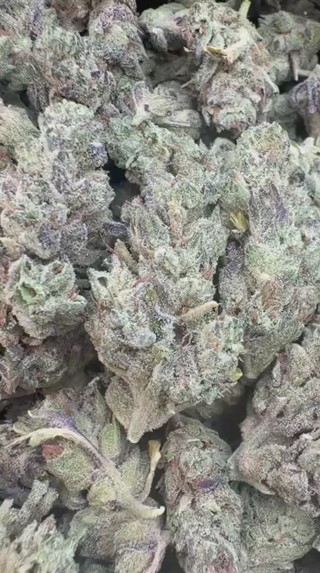 Mendo Breath Mediums - Bulk Mediums - Indica