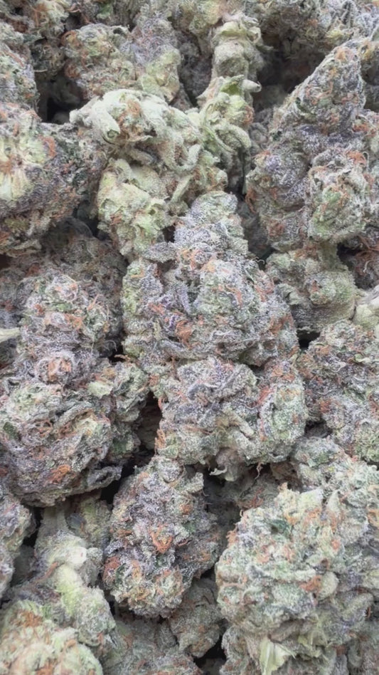 Sherblato Indoor - Bulk - Hybrid