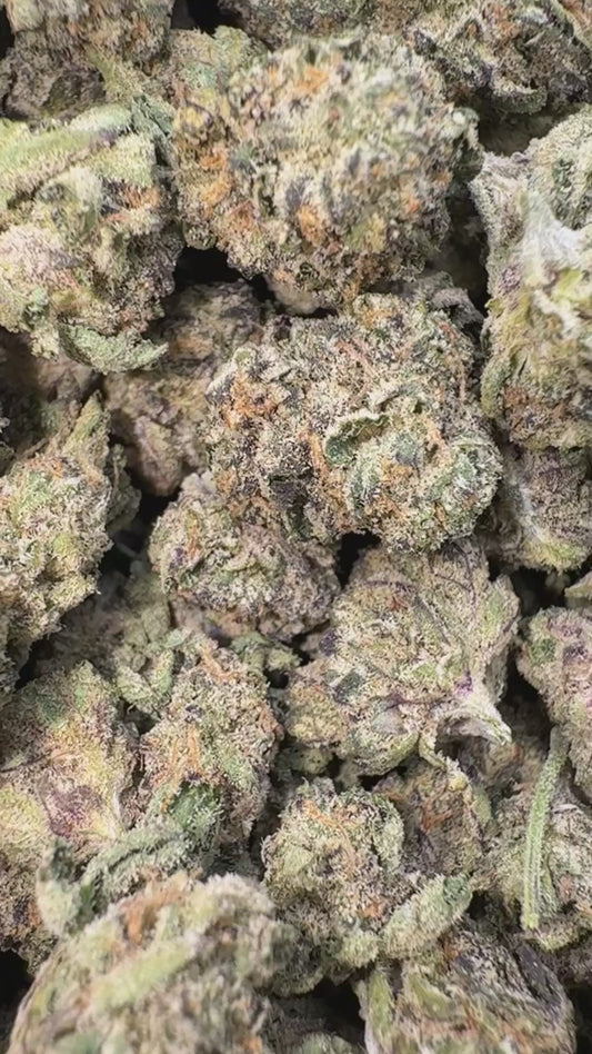 T.I.T.S. Minis - Bulk Minis - Hybrid