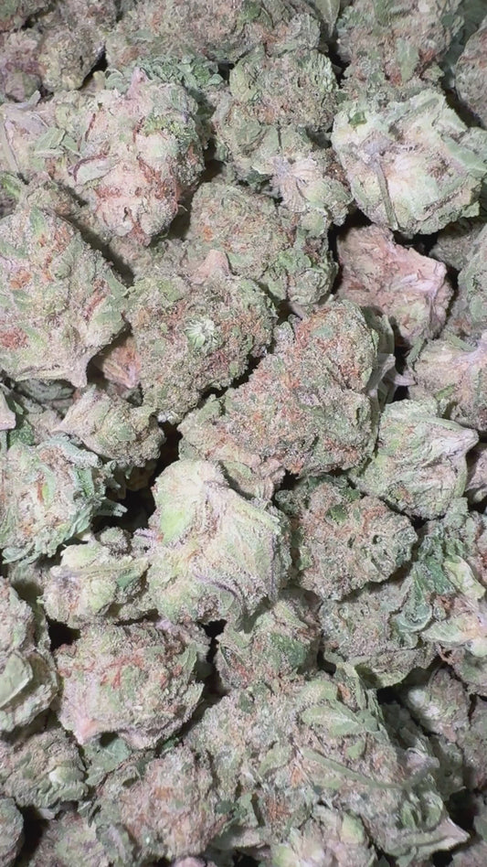 Slurty Minis - Bulk Minis - Indica