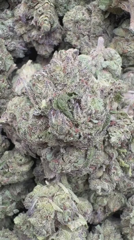 White Runtz - Bulk - Hybrid