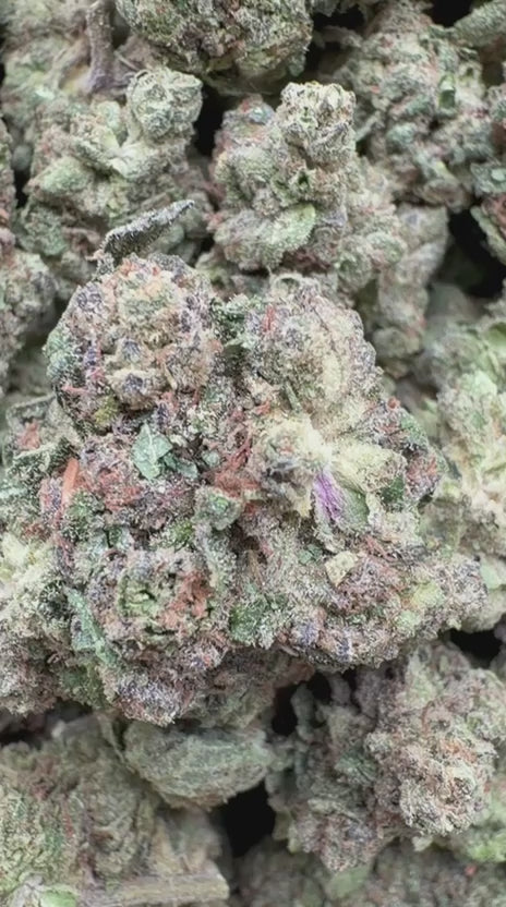 Horchata Gas - Bulk - Hybrid