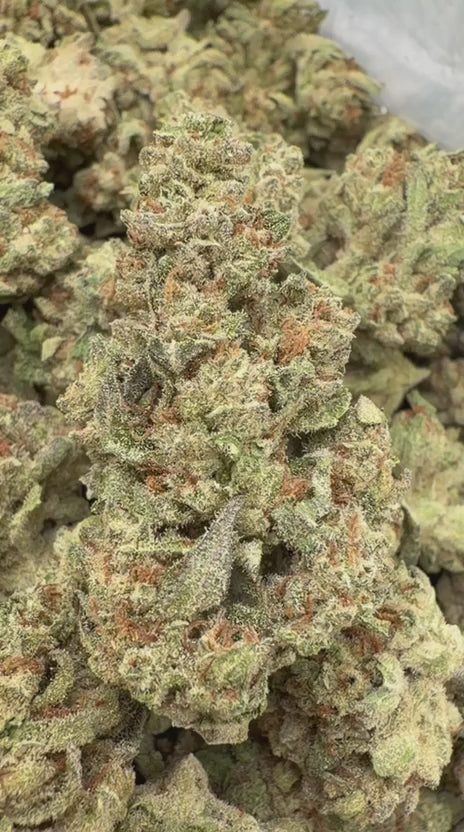 West Coast Chronic - Bulk - Hybrid