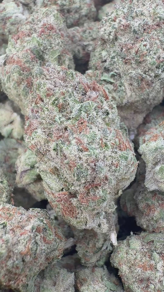 Papaya Runtz Indoor - Bulk - Hybrid