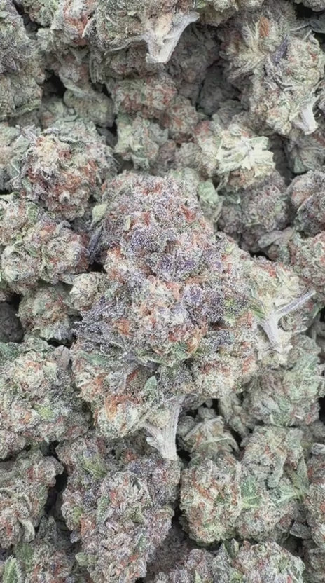 Lemon Kush - Bulk - Hybrid