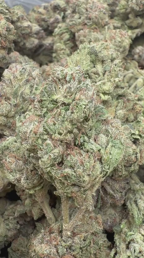 Hard Candy - Bulk- Indica