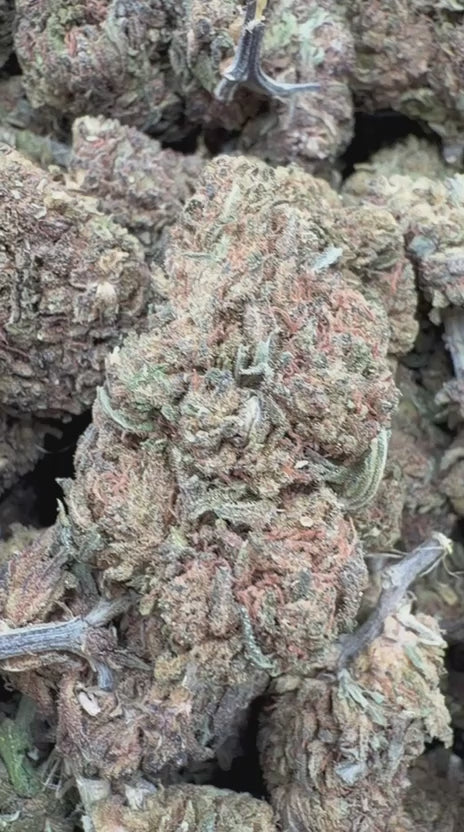 Northern Lights - Bulk - Indica