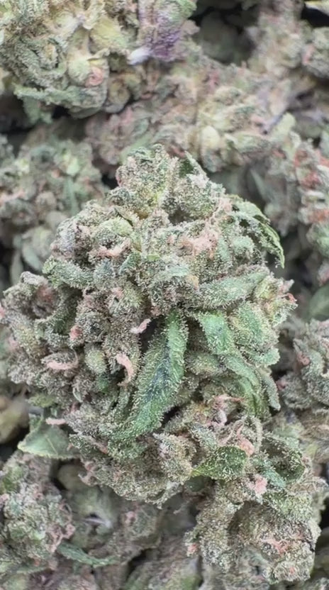 Bubba Candy Minis - Bulk Minis - Indica