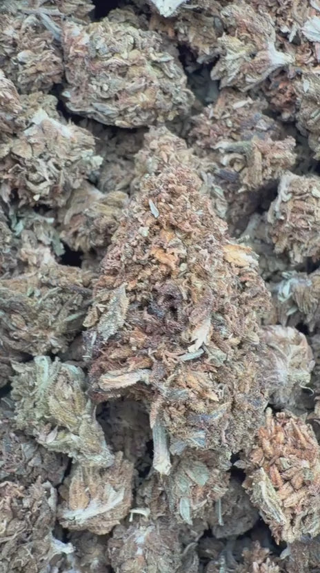 Butterscotch OG - Bulk - Indica