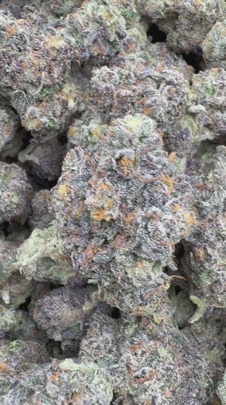 Galactic Runtz Indoor - Bulk - Indica