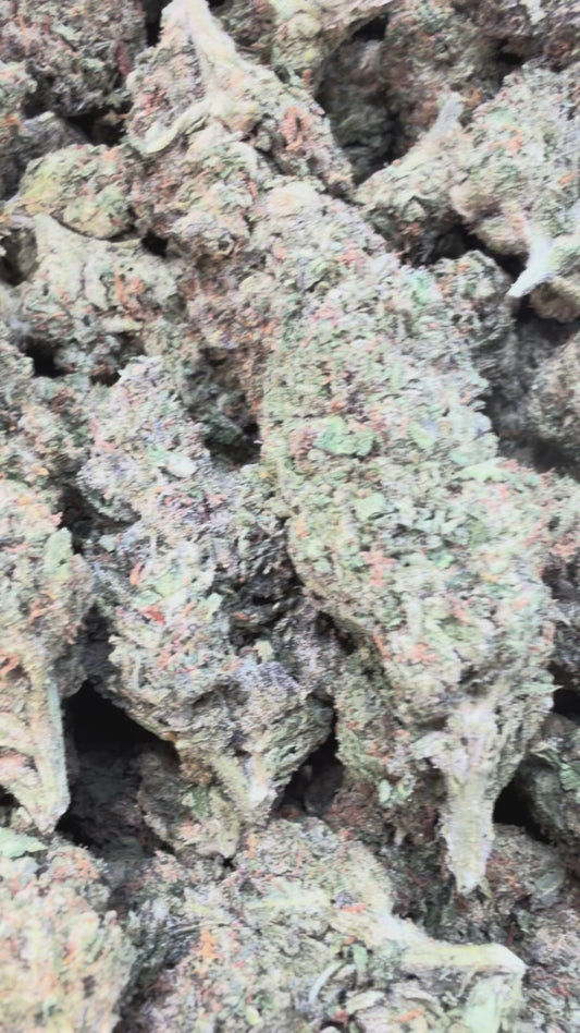 Butterscotch OG - Bulk - Indica