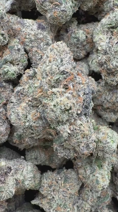 Gumbo Indoor - Bulk - Hybrid