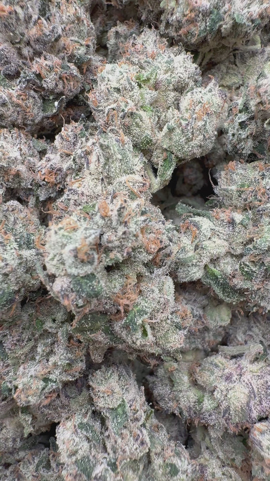 Elite Boutique Exotic Limon Berry - Bulk - Hybrid