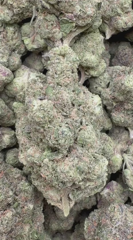 Gush Mintz - Bulk - Indica