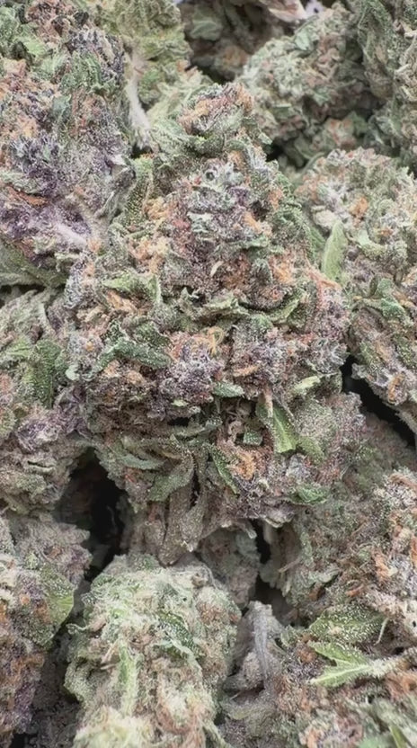 Panama Red - Bulk - Sativa