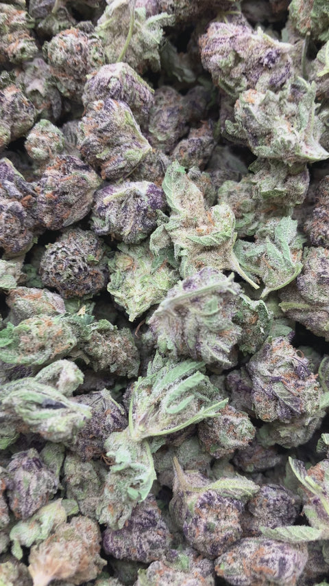 Crunch Berries - Bulk - Minis (Indica)