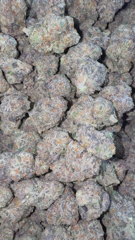 Gelonade Indoor - Bulk - Sativa