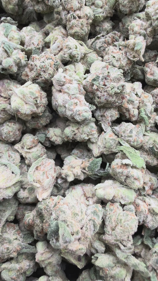 SinMint Cookies Minis - Bulk Minis - Indica
