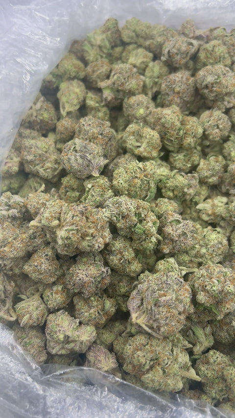 Black Cherry Soda - Bulk - (Indica)