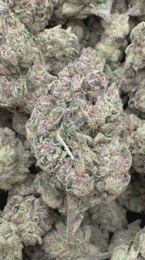 GMO - Bulk - Indica