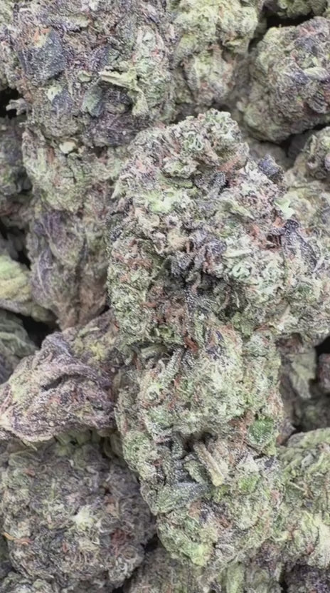 Purple Churro - Bulk - Indica
