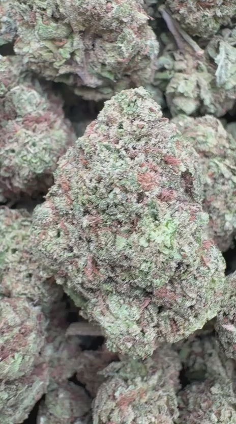 Jet Fuel Gelato x Peach Rings - Bulk - Hybrid