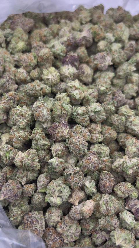 Blueberry Muffins - Bulk - Minis (Indica)