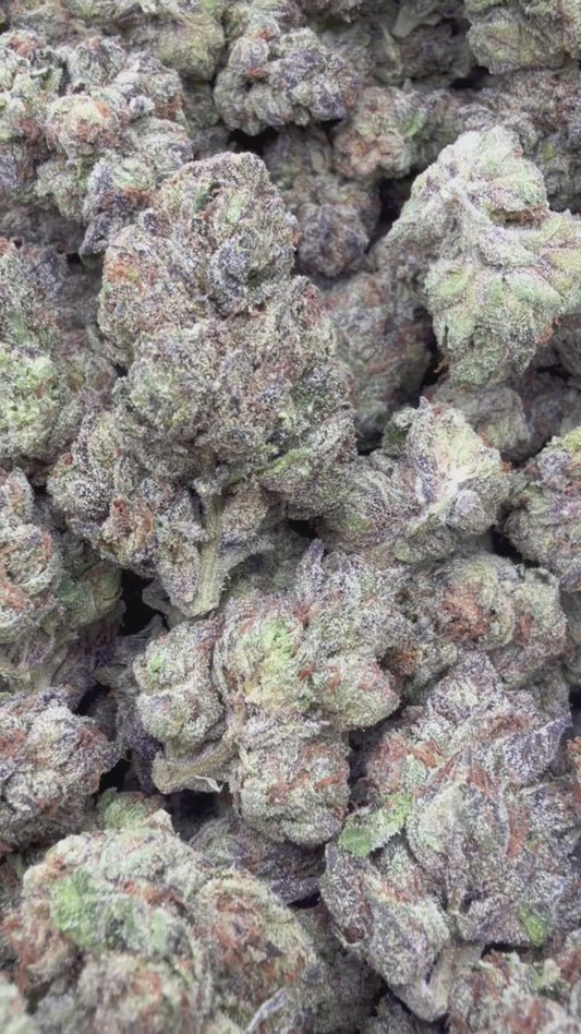 Purple Octane - Bulk - Indica