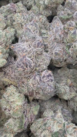 Galactic Runtz - Bulk - Indica