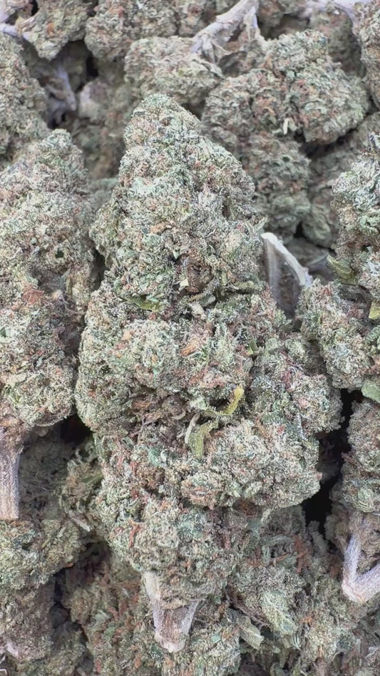 Sundae Driver - Bulk - Hybrid